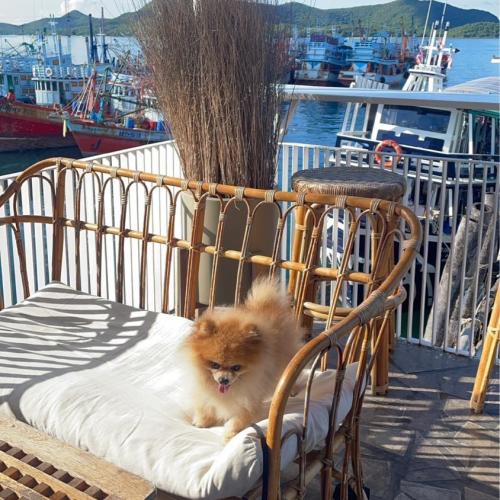 สมาชิกหมายเลข 7856473