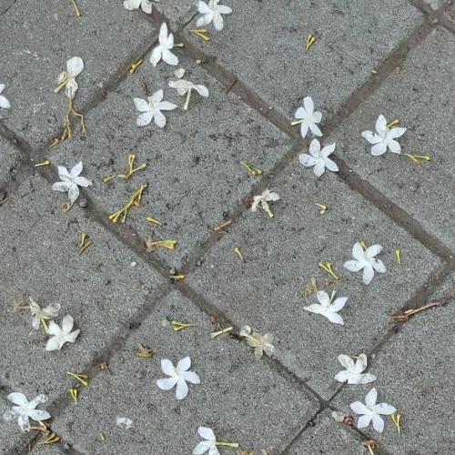 สมาชิกหมายเลข 7857140