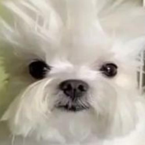 สมาชิกหมายเลข 5280078