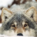 สมาชิกหมายเลข 3713300