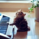 สมาชิกหมายเลข 3713354