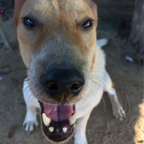 สมาชิกหมายเลข 4100038