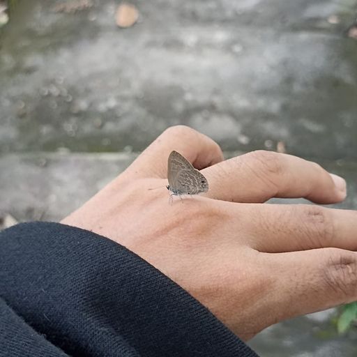 สมาชิกหมายเลข 5672043