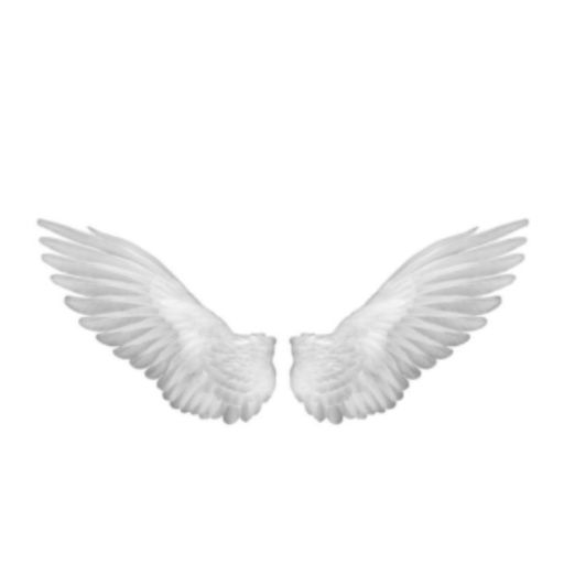 สมาชิกหมายเลข 7510867