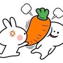 สมาชิกหมายเลข 9240489