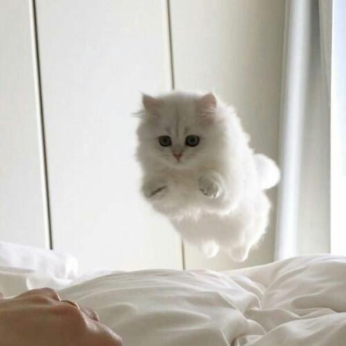 สมาชิกหมายเลข 4581136