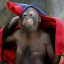 สมาชิกหมายเลข 4857731