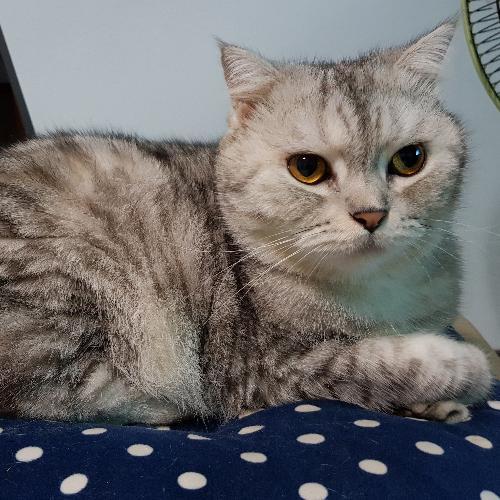 พิกสี้3AM