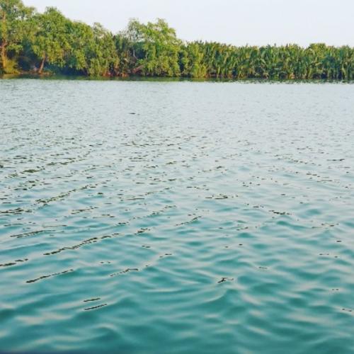 สมาชิกหมายเลข 5161217