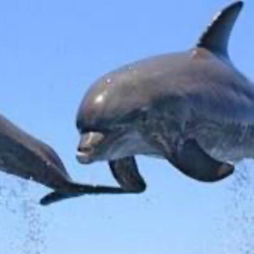 สมาชิกหมายเลข 5792951