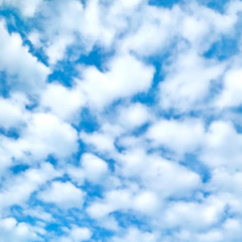 สมาชิกหมายเลข 6663488