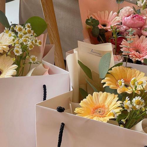 สมาชิกหมายเลข 6689484