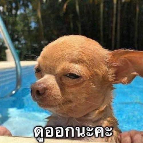 สมาชิกหมายเลข 5130203