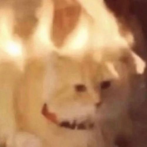 สมาชิกหมายเลข 7844723