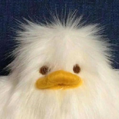 สมาชิกหมายเลข 7855919