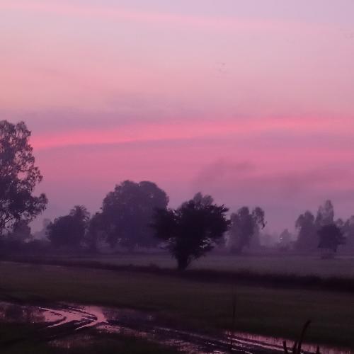 สมาชิกหมายเลข 7826886