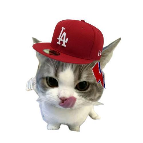 สมาชิกหมายเลข 8849999