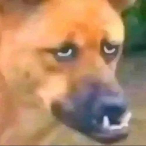 สมาชิกหมายเลข 8859052