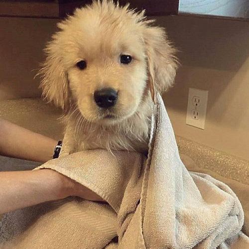 สมาชิกหมายเลข 8861202