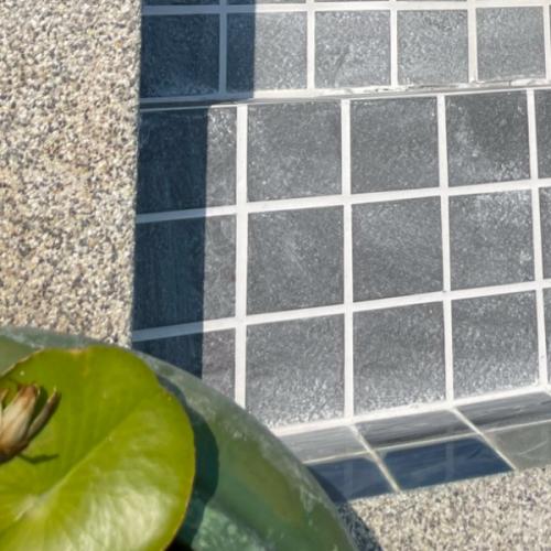 สมาชิกหมายเลข 8861286