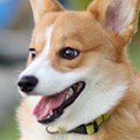 สมาชิกหมายเลข 3713465