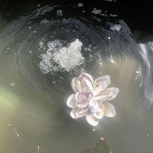 สมาชิกหมายเลข 7519348