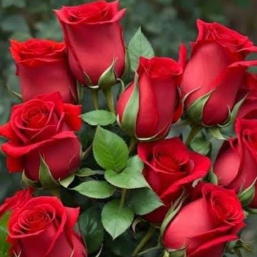 สมาชิกหมายเลข 8305363