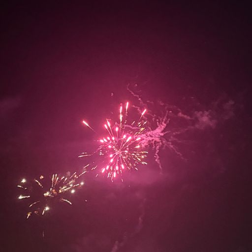 สมาชิกหมายเลข 9239531