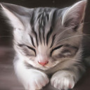 สมาชิกหมายเลข 4469330