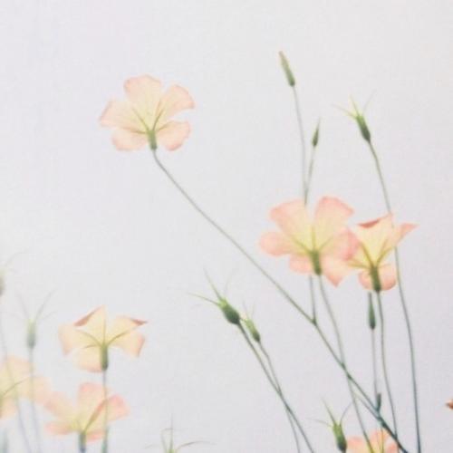 สมาชิกหมายเลข 1101804