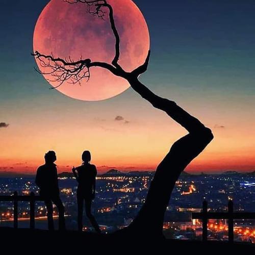 สมาชิกหมายเลข 5326952