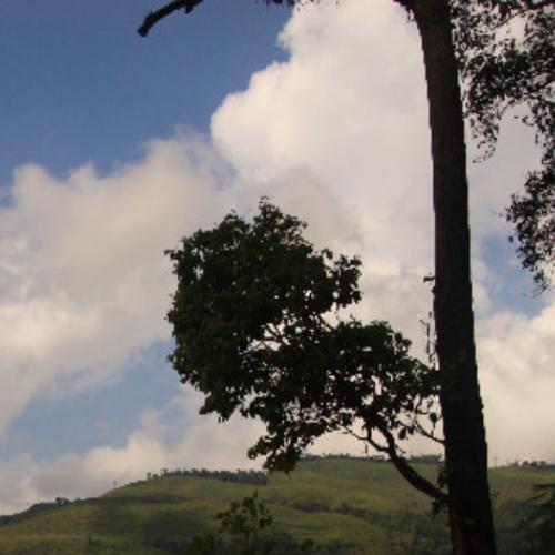 สมาชิกหมายเลข 710394