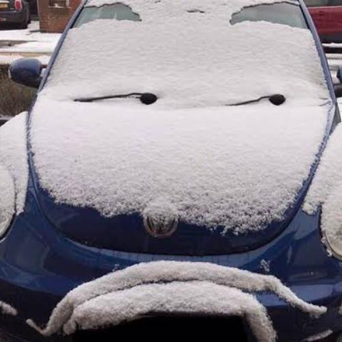 สมาชิกหมายเลข 6499331