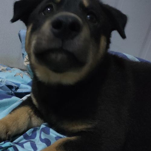 สมาชิกหมายเลข 7083824