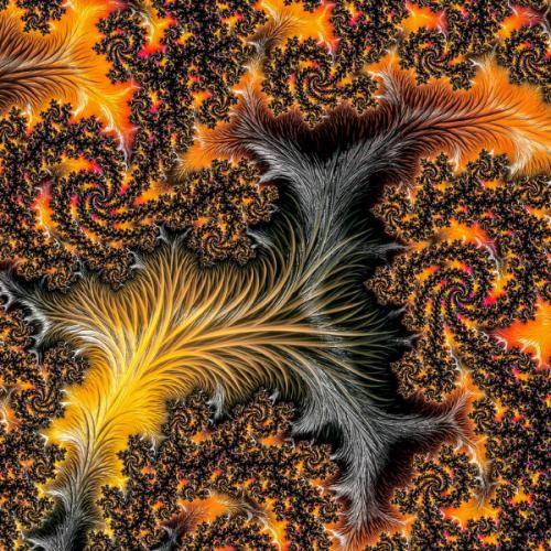 สมาชิกหมายเลข 7020660