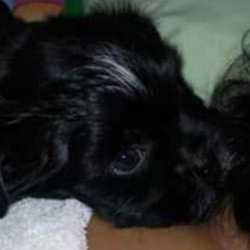 สมาชิกหมายเลข 7859276