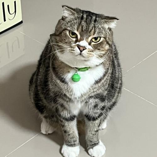 สมาชิกหมายเลข 8862739