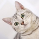 สมาชิกหมายเลข 3714252