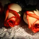 สมาชิกหมายเลข 3714261