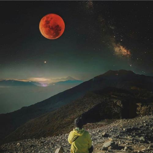 สมาชิกหมายเลข 4928503