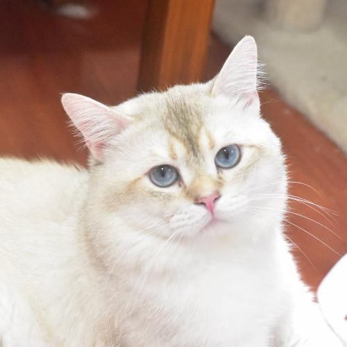 สมาชิกหมายเลข 4928556