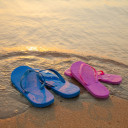 สมาชิกหมายเลข 4089967