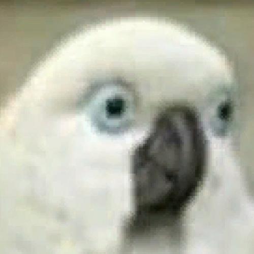 สมาชิกหมายเลข 1982746