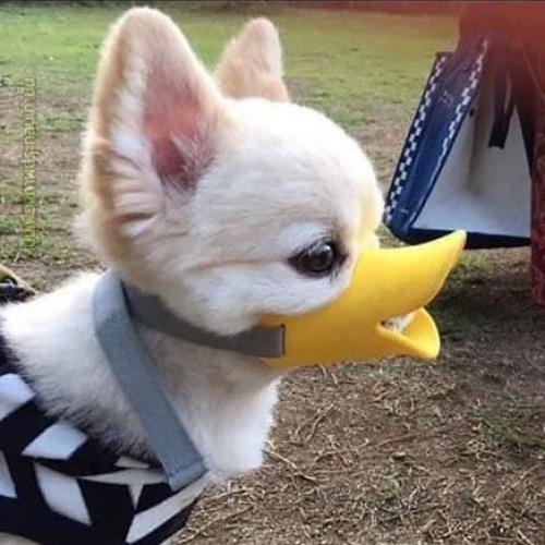 สมาชิกหมายเลข 5794625