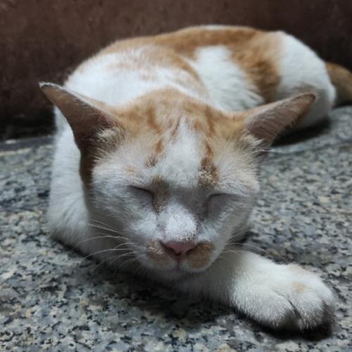 สมาชิกหมายเลข 778186