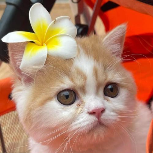 สมาชิกหมายเลข 3046702