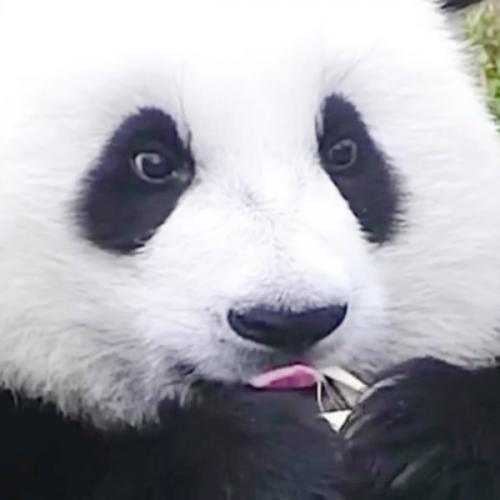 สมาชิกหมายเลข 7085208