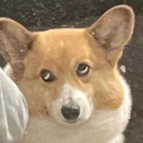 สมาชิกหมายเลข 5098123