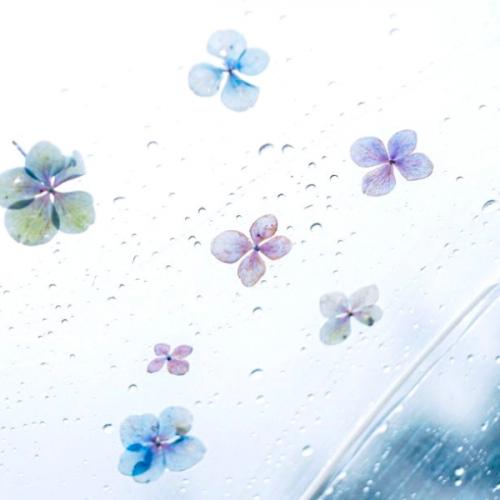 สมาชิกหมายเลข 6816875