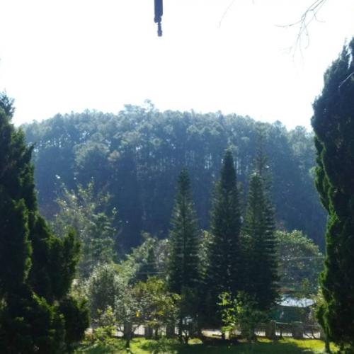 สมาชิกหมายเลข 7852928